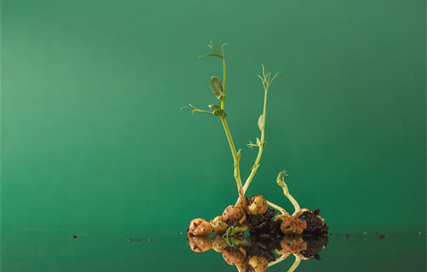 Effective Lead Nurturing Strategies for Healthcare Lead Generation